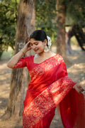 Red Handloom Raw Silk Weaving Designer Saree with Blouse