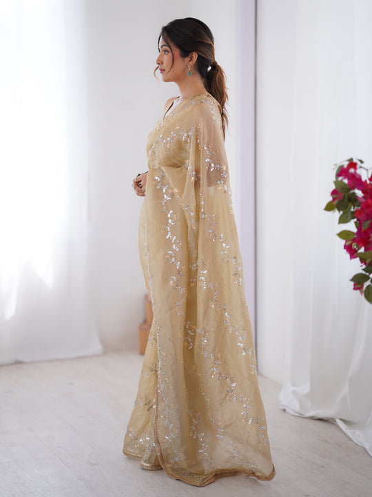 Beige Soft Gold Crush Embroidered Designer Saree with Blouse