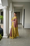 Maroon Soft Tussar Silk Ikkat Printed Saree with Blouse