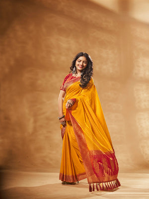 Georgette Banarasi Silk Saree With Blouse Piece