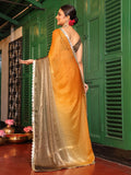 Ombre Embellished Sequinned Pure Chiffon Saree