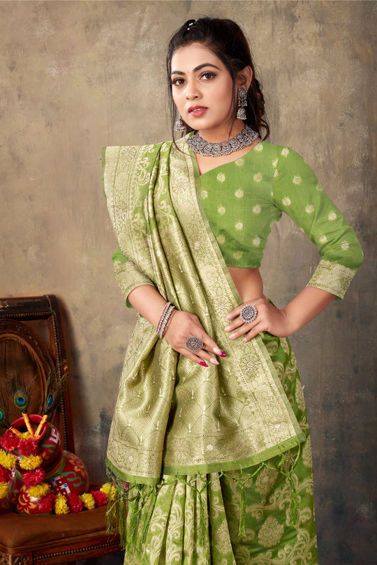 Pastel Green Organza saree