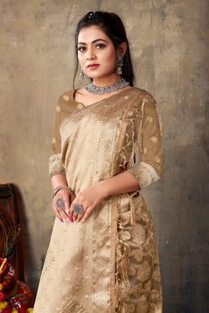 Tan Beige Organza saree
