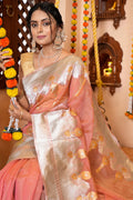 Dusky Peach Organza Saree