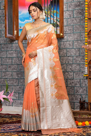 Cantaloupe Peach Organza Saree