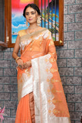 Cantaloupe Peach Organza Saree