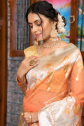 Cantaloupe Peach Organza Saree