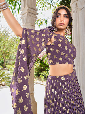 Tan Wine Lehenga Choli