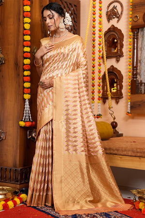 Tan Beige Organza Saree