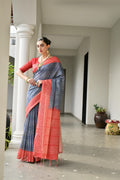 Grey & Red Soft Desi Tussar Silk Saree With Unique Ikkat Painted Pattern With Tradional Ikkat Pallu And Border With Traditional Tassels And Contrast Blouse Piece
