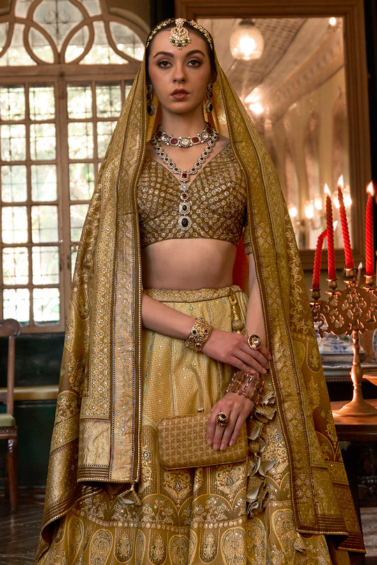 Heena Green Silk Lehenga Choli