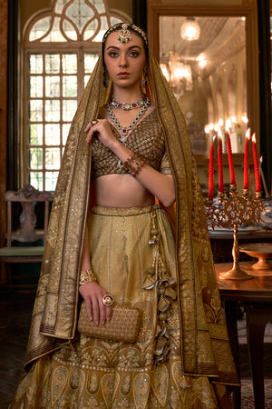 Heena Green Silk Lehenga Choli