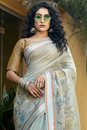 Pastel Green Organza Saree