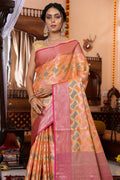 Cnataloupe Peach Organza Saree