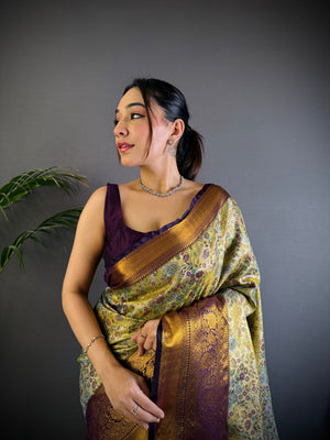 Multicolor Premium Dharmavaram Silk Meenakari Weaving Designer Saree with Blouse
