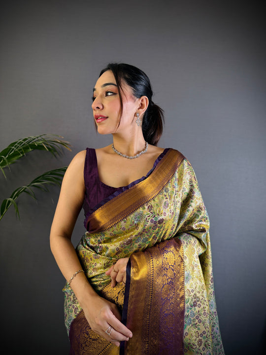 Multicolor Premium Dharmavaram Silk Meenakari Weaving Designer Saree with Blouse