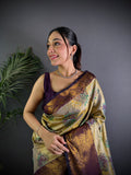 Multicolor Premium Dharmavaram Silk Meenakari Weaving Designer Saree with Blouse