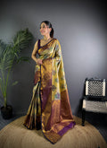 Multicolor Premium Dharmavaram Silk Meenakari Weaving Designer Saree with Blouse
