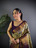 Multicolor Premium Dharmavaram Silk Meenakari Weaving Designer Saree with Blouse