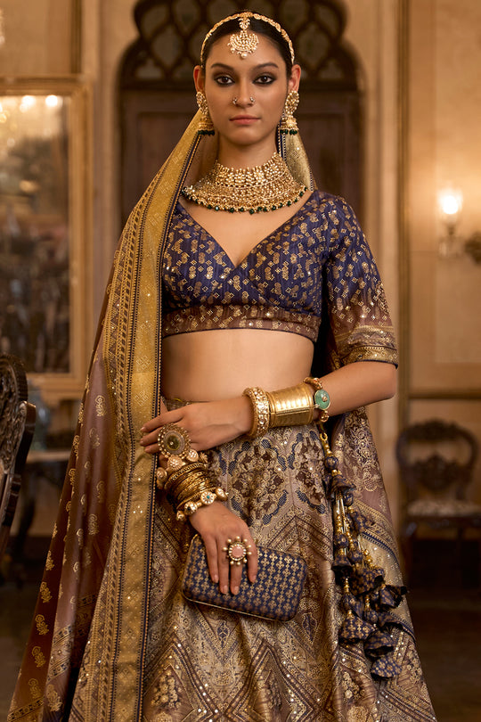 Multi Brown Silk Lehenga Choli