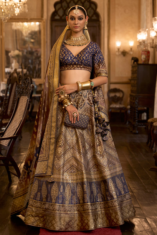 Multi Brown Silk Lehenga Choli