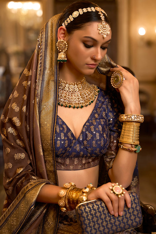 Multi Brown Silk Lehenga Choli