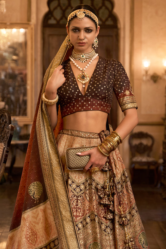 Dark Brown Silk Lehenga Choli