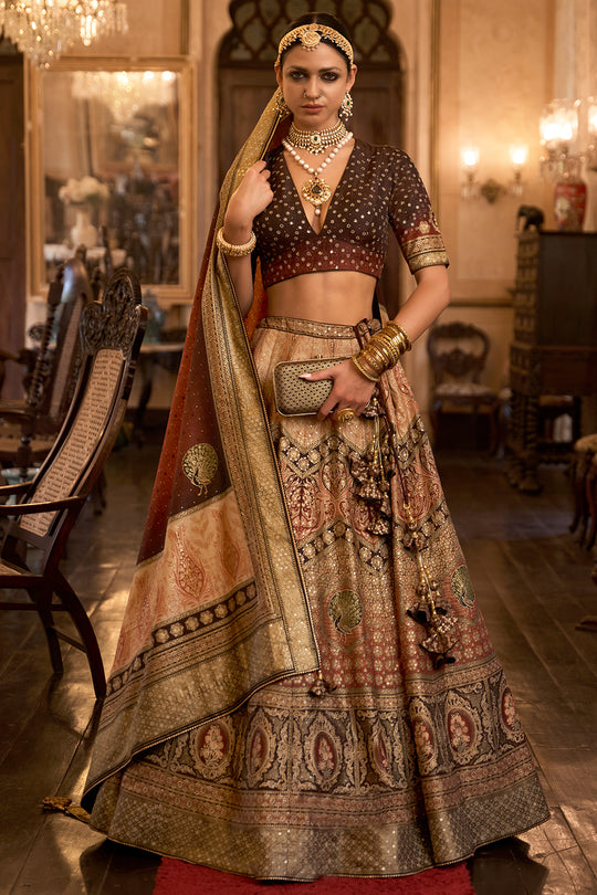 Dark Brown Silk Lehenga Choli