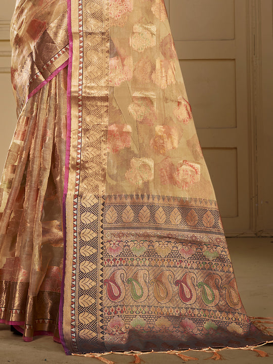 Brown Organza Saree With Blouse Piece