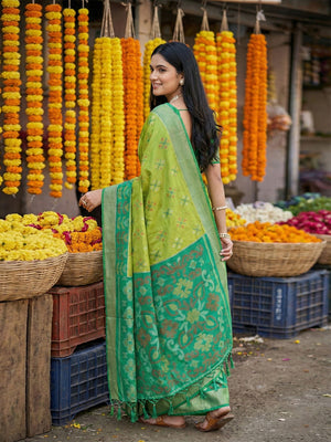 Light Green Pochampalli Silk Saree With Blouse Piece