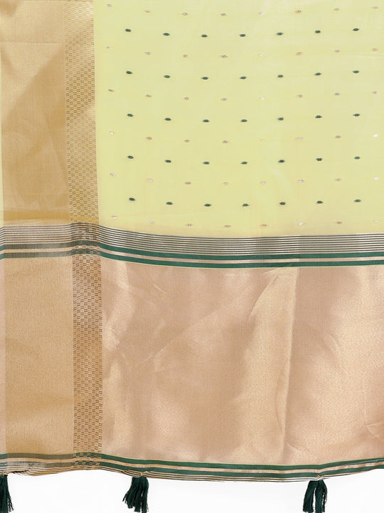 Light Green Organza Saree With Blouse Piece