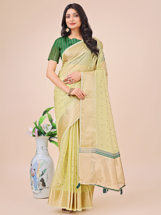 Light Green Organza Saree With Blouse Piece