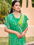Light Green Pochampalli Silk Saree With Blouse Piece