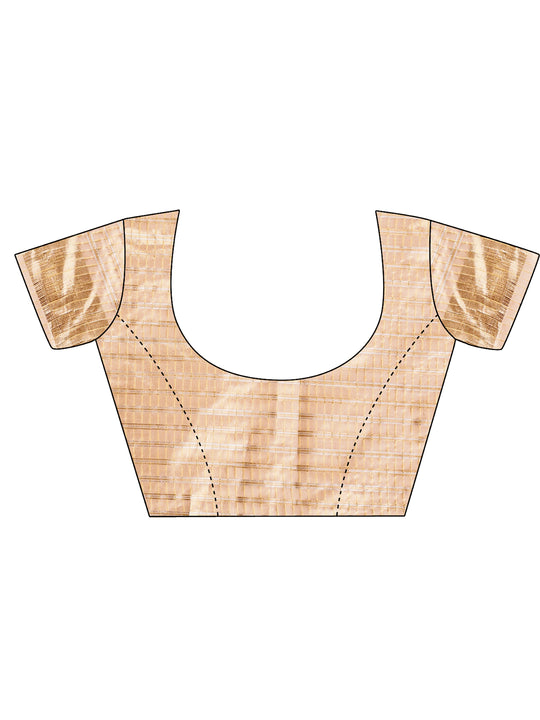 Sky Blue CHICAGO Organza Saree with Blouse Piece