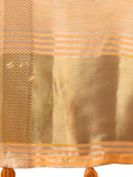 Orange Organza Saree With Blouse Piece