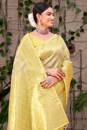 Organza Saree