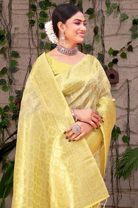 Organza Saree