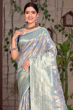 Coin Grey Organza Saree