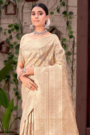 Apricot Peach Organza Saree