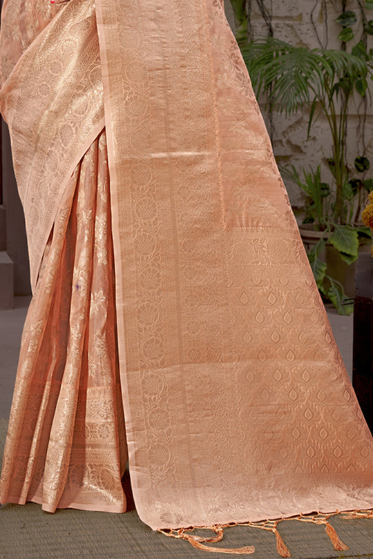Organza Saree Border