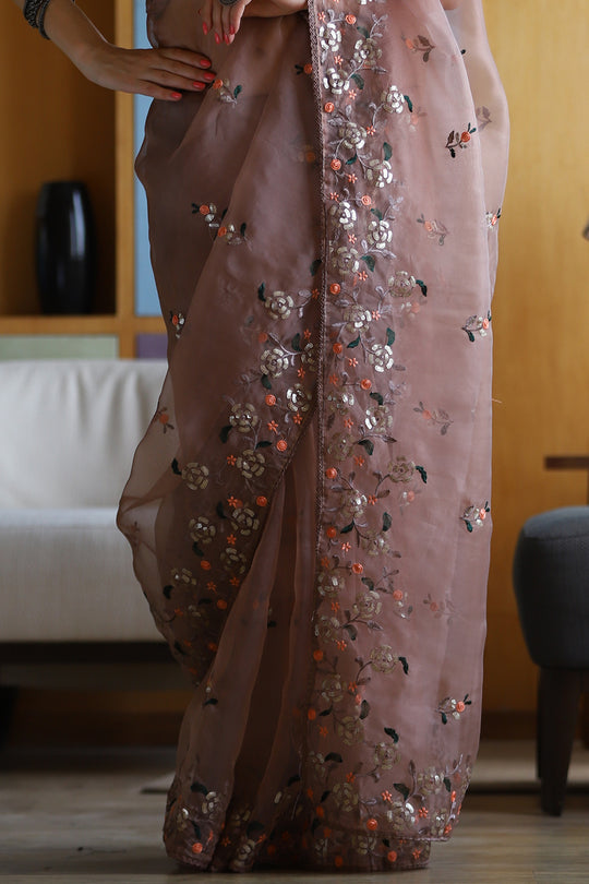 Organza Saree Design