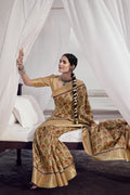 Silk Saree Drape