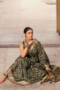 Silk Saree Style