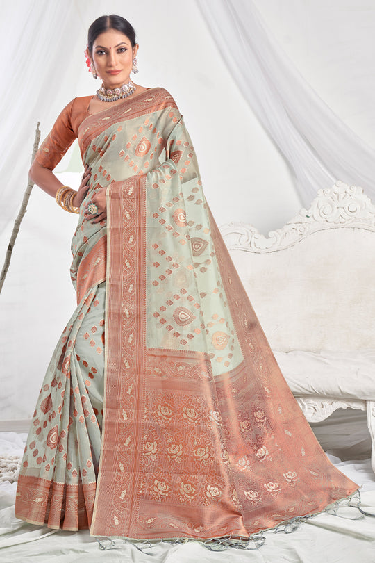 Coin Grey Organza Saree