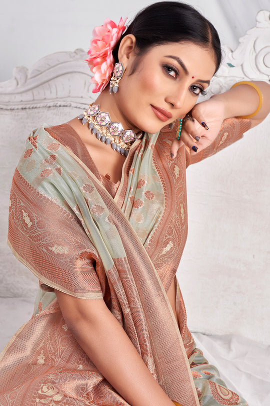Coin Grey Organza Saree