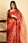 fancy saree