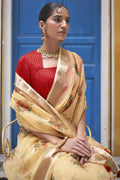 Tissue  Saree with blouse