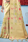 Organza Saree Design