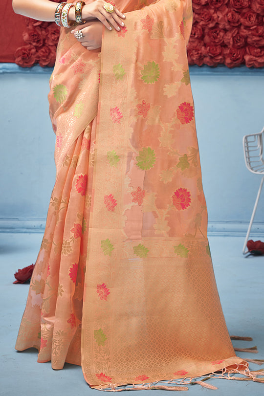 Organza Saree Design