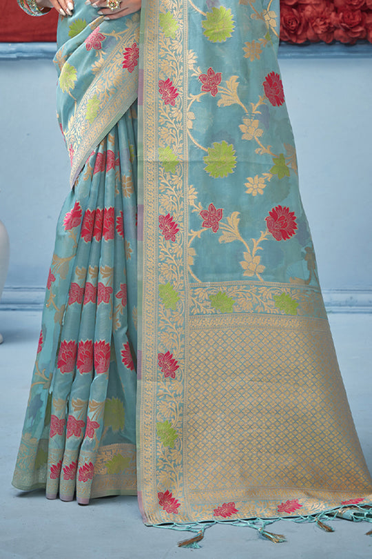 Organza Saree Design